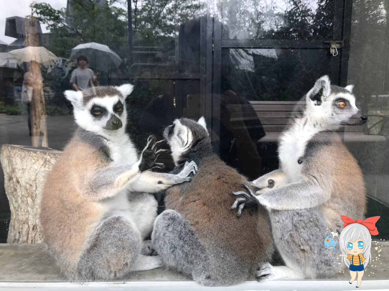 京都市動物園 適合親子的日本自由行 日日夢路